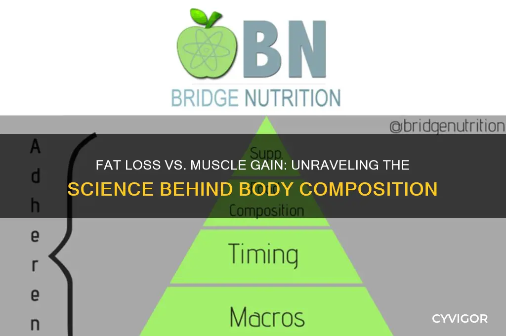 do you lose fat or gain muscle scholarly