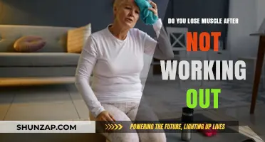 Muscle Loss After Workout Breaks: What Really Happens to Your Body?