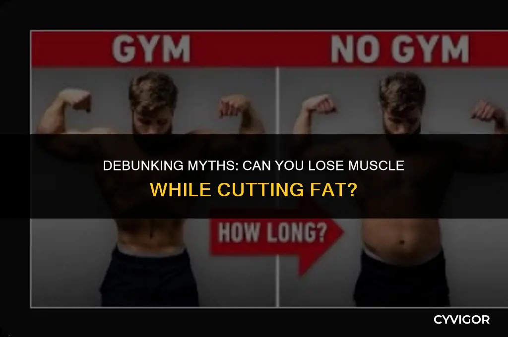 do you lose muscle getting rid of fat