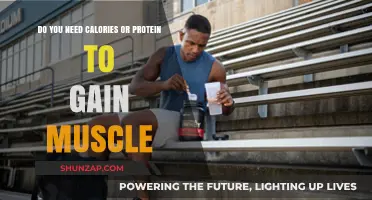 Calories vs. Protein: Which Fuels Muscle Growth Effectively?