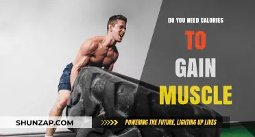 Calories and Muscle Gain: Fueling Your Body for Growth