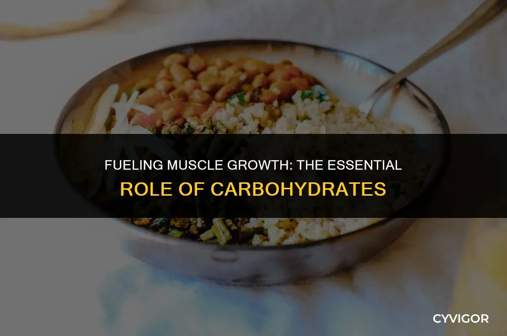 do you need carbohydrates to build muscle