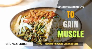 Carbohydrates and Muscle Gain: Essential Fuel or Optional Boost?