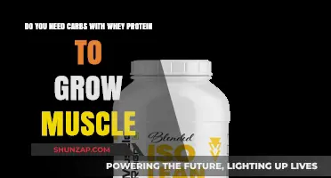 Carbs and Whey Protein: Essential Combo for Muscle Growth?
