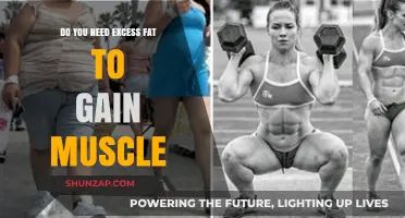 Can Excess Fat Help or Hinder Muscle Gain? Exploring the Truth