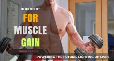 Fat's Role in Muscle Gain: Essential or Optional for Growth?