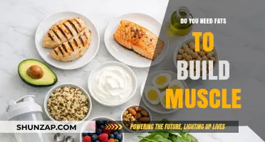 Fueling Muscle Growth: The Essential Role of Fats in Your Diet