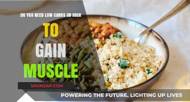 Low Carbs vs. High Carbs: Which Fuels Muscle Growth Better?