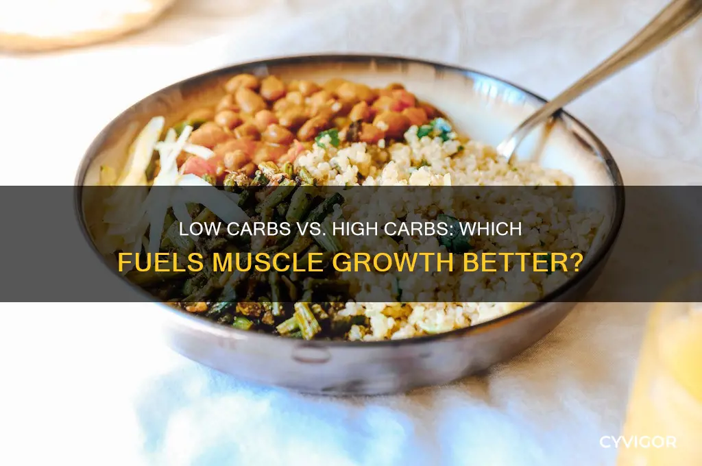 do you need low carbs or high to gain muscle