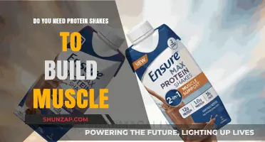 Protein Shakes for Muscle Building: Necessary or Not?