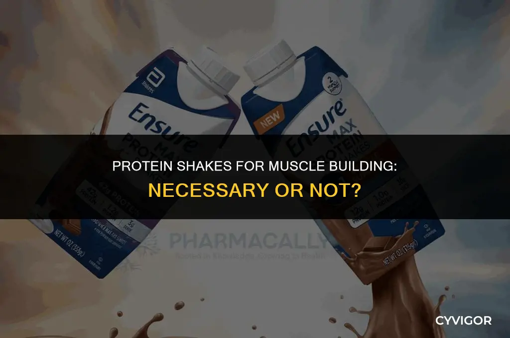 do you need protein shakes to build muscle