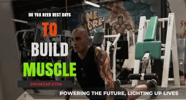 Rest Days and Muscle Growth: The Science Behind Recovery