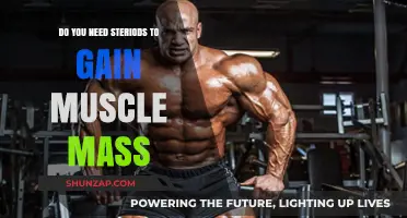 Building Muscle Mass: Are Steroids Necessary for Optimal Results?