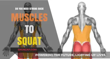 Squat Strength: The Role of Back Muscles in Your Lifting Game