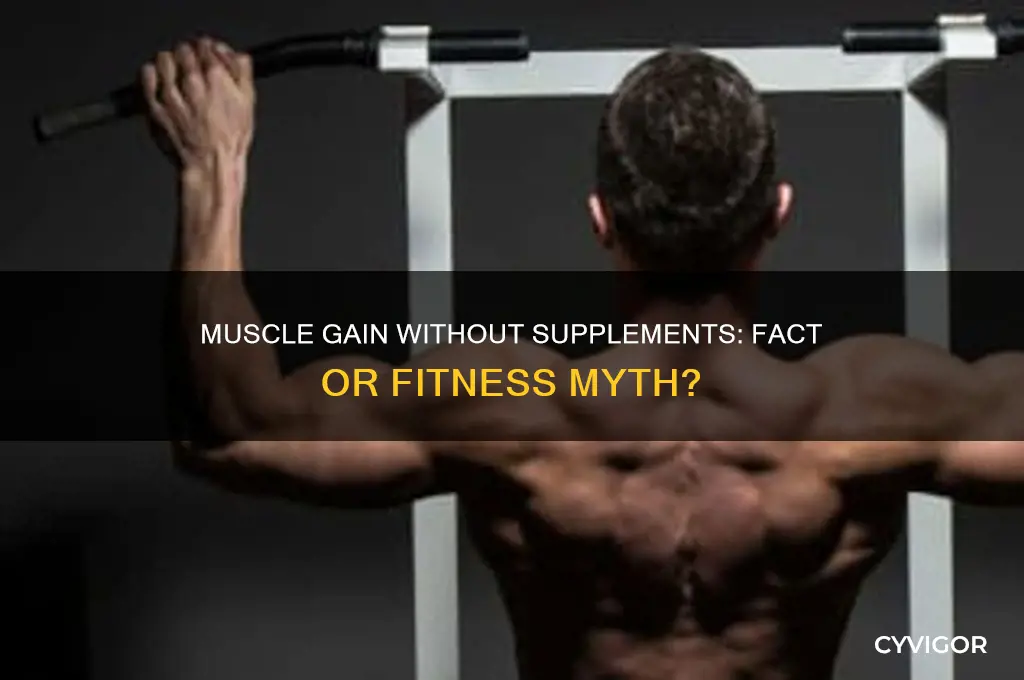 do you need supplements to gain muscle