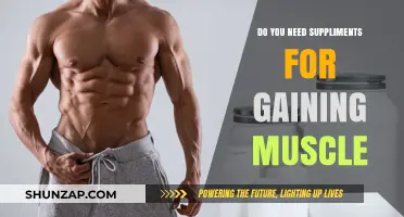 Muscle Gain Essentials: Are Supplements Truly Necessary for Growth?