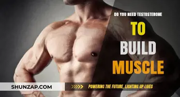 Unraveling the Myth: Testosterone's Role in Muscle Building Explained