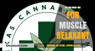 THC for Muscle Relaxation: Is It Necessary or Optional?