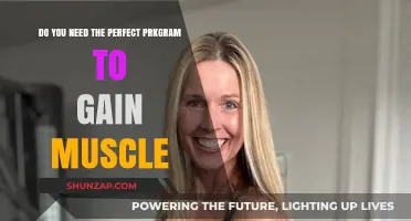Perfect Program Myth: Building Muscle Without Overcomplicating Your Routine