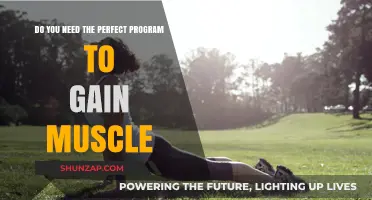 Perfect Program Myth: Unlocking Muscle Gains Without Flawless Plans