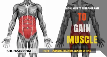 Core Strength: Essential for Muscle Gain or Optional?