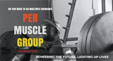 Maximizing Muscle Growth: Single vs. Multiple Exercises per Group
