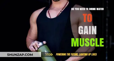 Hydration and Muscle Growth: Is Drinking Water Essential for Gains?