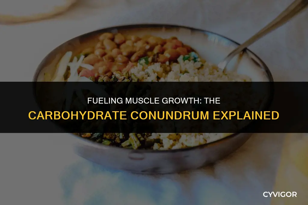 do you need to eat carbs to build muscle