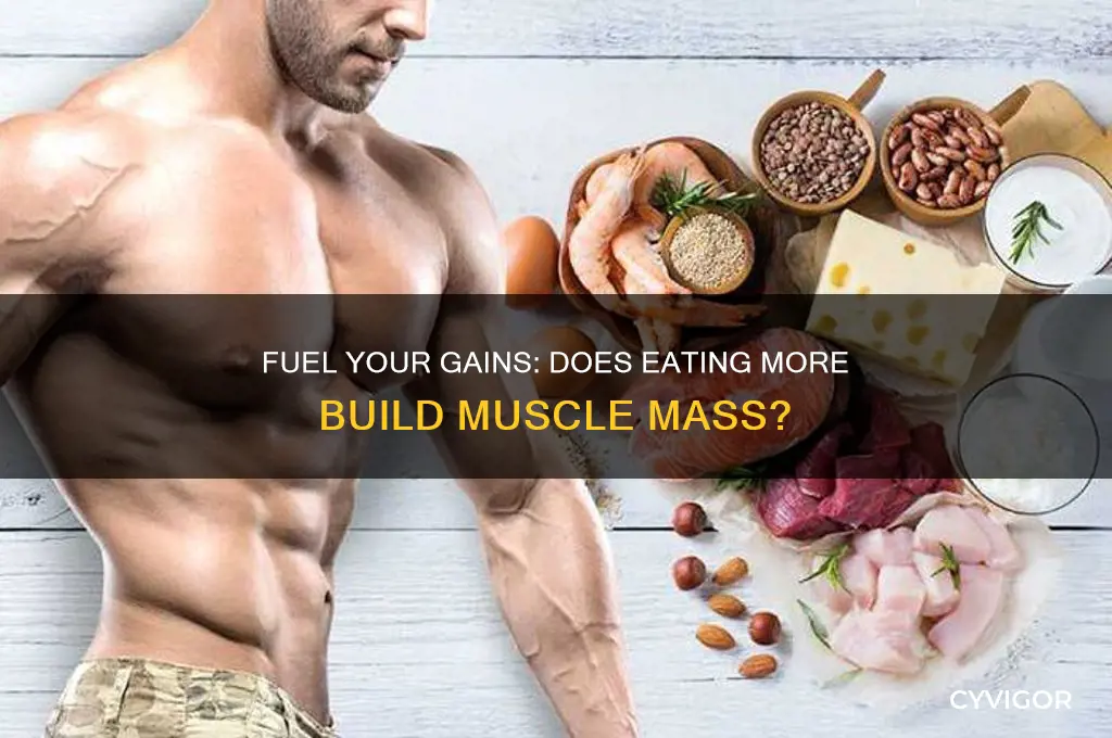 do you need to eat more to gain muscle