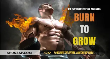 Muscle Burn vs. Growth: Is the Burn Necessary for Gains?