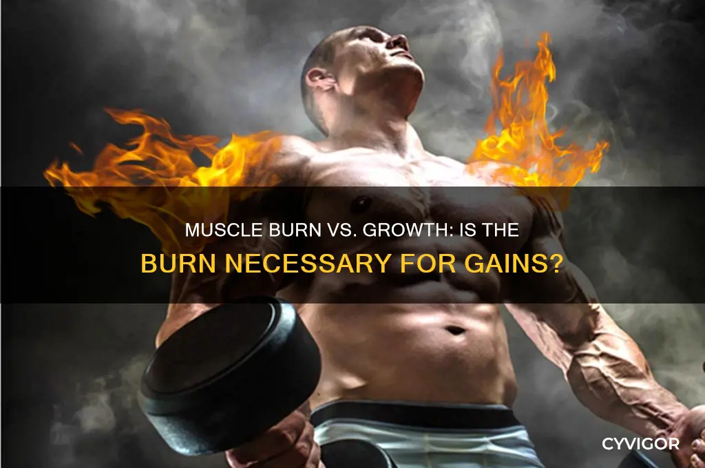 do you need to feel muscles burn to grow