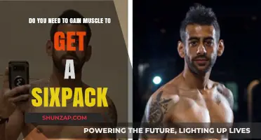 Six-Pack Secrets: Is Muscle Gain Necessary for Visible Abs?