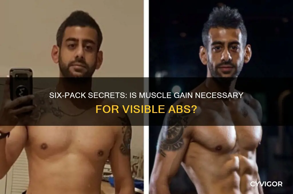 do you need to gain muscle to get a sixpack