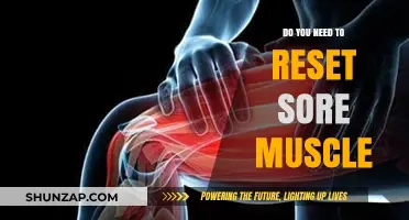 Should You Reset Sore Muscles? Recovery Tips for Faster Healing