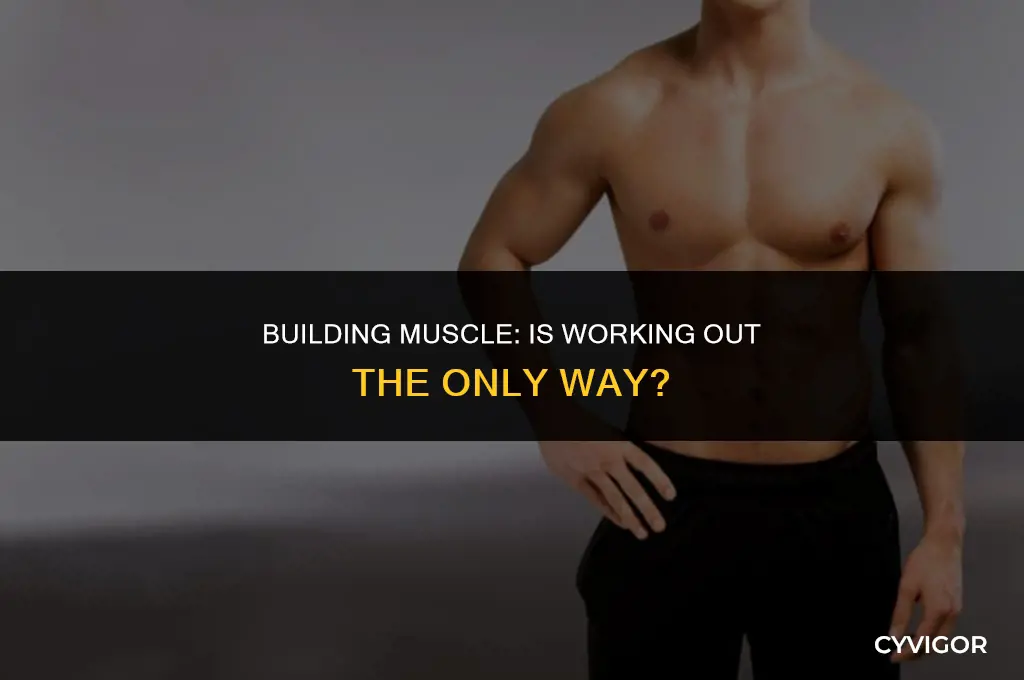 do you need to workout to get muscle
