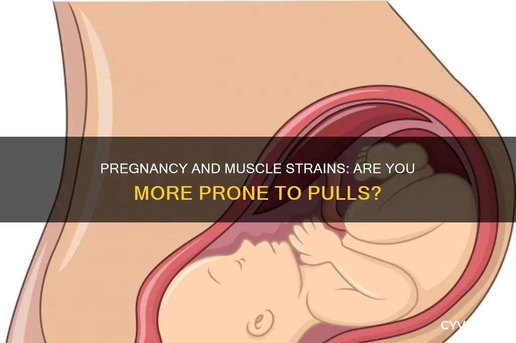 do you pull muscles easier when pregnant