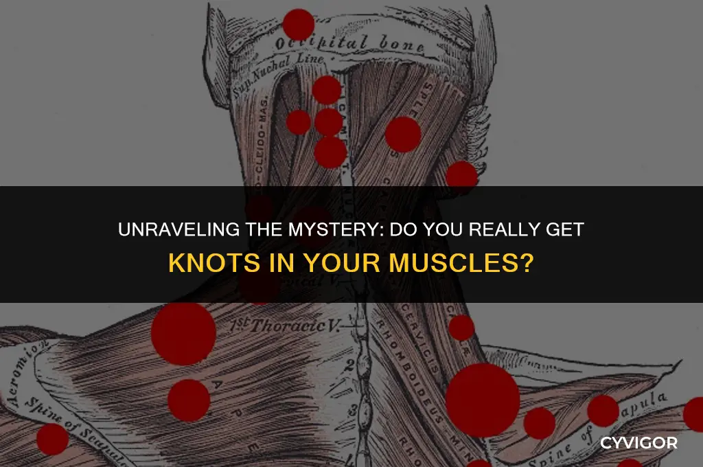 do you really get knots in your muscles
