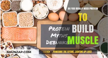 Unraveling the Protein Myth: Muscle Building Essentials Revealed
