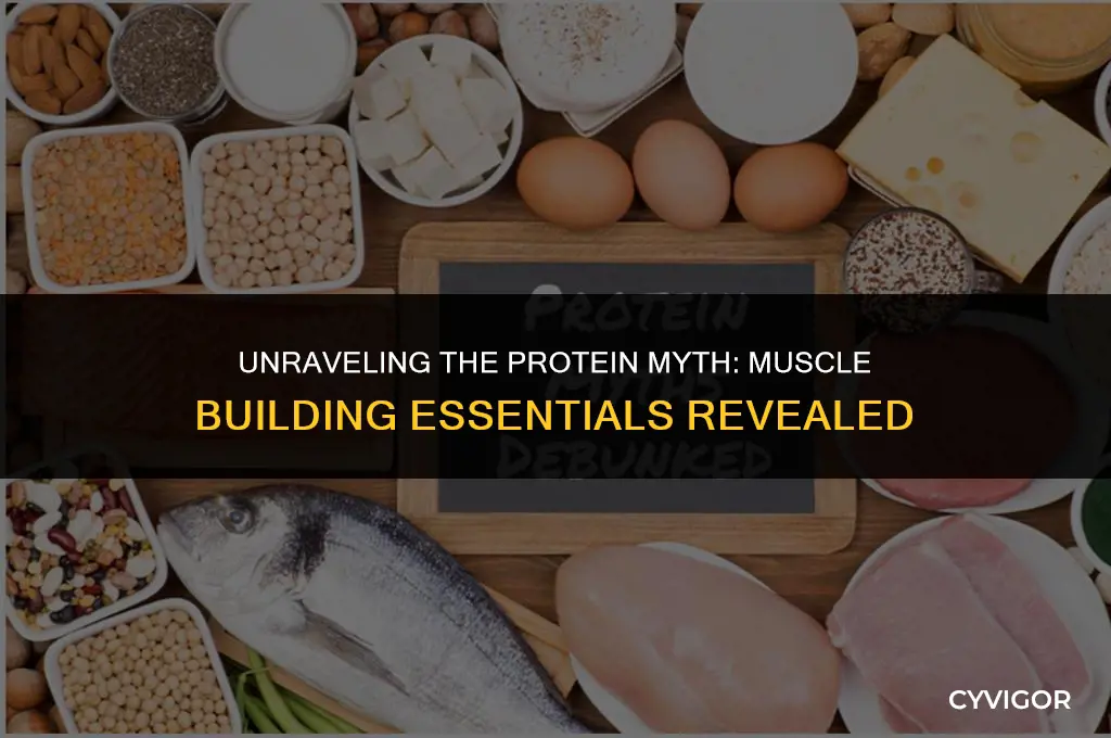 do you really need protein to build muscle