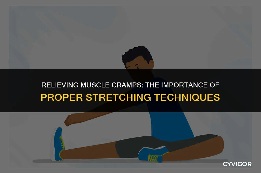 do you stretch a cramped muscle