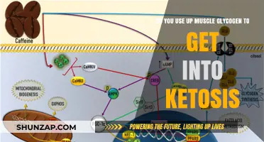 Fueling Ketosis: The Role of Muscle Glycogen Depletion