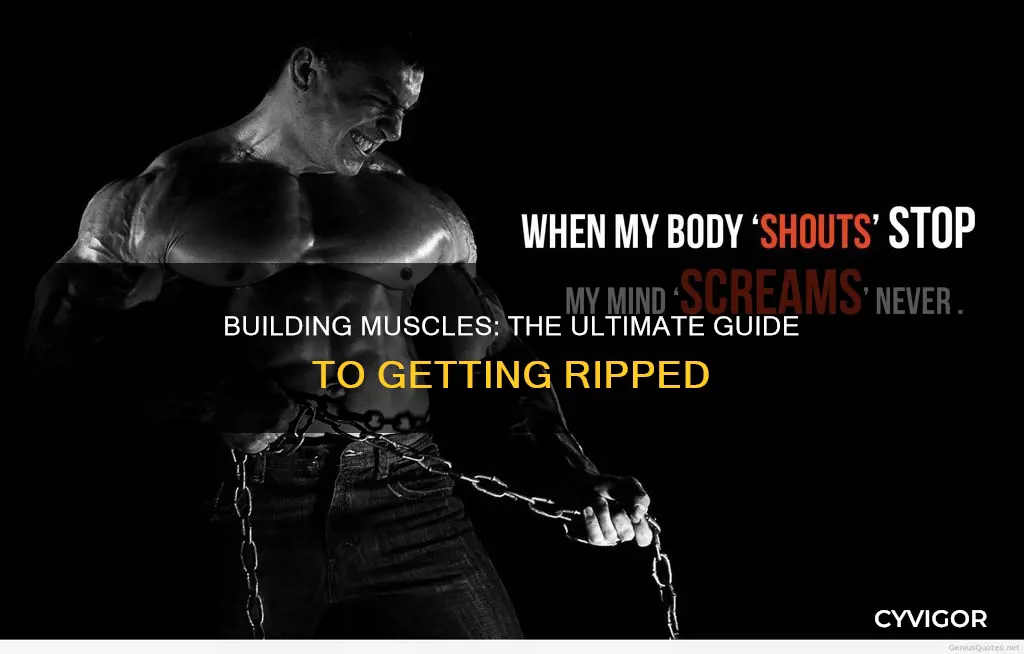 do you want muscles
