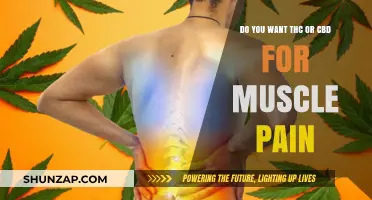 THC vs. CBD: Which is Best for Relieving Muscle Pain?