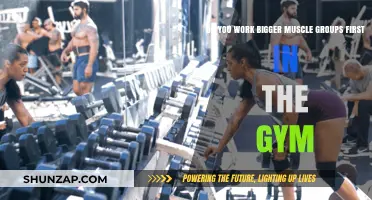 Maximize Gym Workouts: Prioritize Larger Muscle Groups for Optimal Results