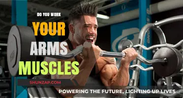 Tone and Strengthen: Effective Arm Muscle Workouts for All Fitness Levels