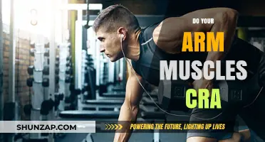 Do Your Arm Muscles Crave Strength? Unlocking Arm Muscle Potential