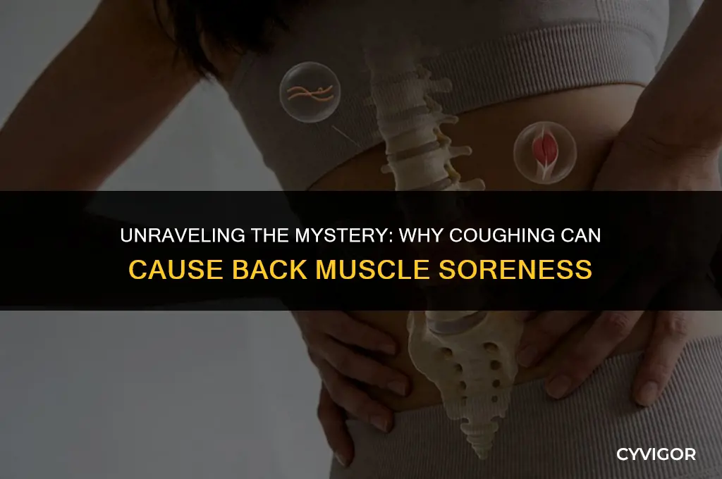 do your back muscles get sore from coughing