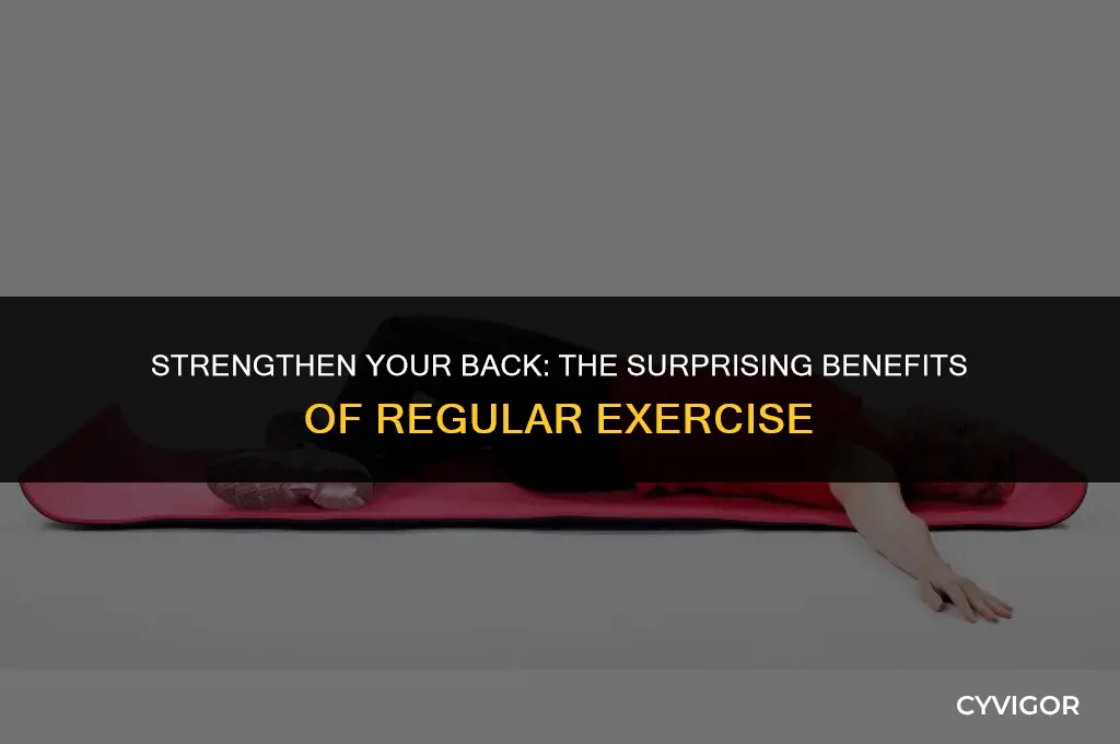 do your back muscles keep