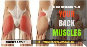 Butt Muscles and Back Pain: Understanding the Connection and Relief