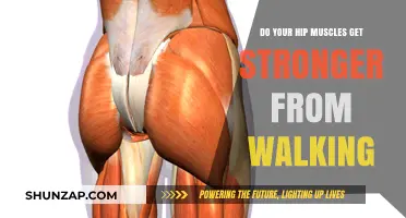 Walking Wonders: How Hip Muscles Benefit from Every Step